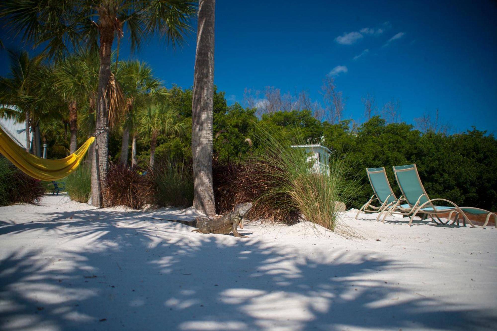 Ibis Bay Resort Key West Room photo